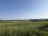 Nord - Ansicht aus Garten - 
