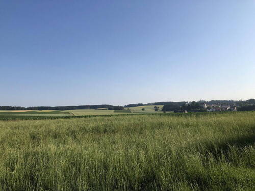 Nord - Ansicht aus Garten - 