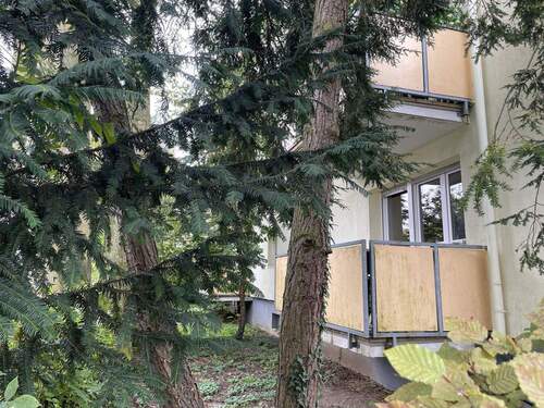 Balkon mit Blick ins Grüne - 1 Zimmer Etagenwohnung zum Kaufen in Wiesbaden