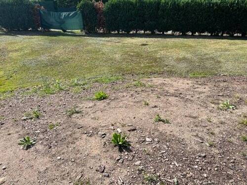 Bild 1 - 200m von der Dresdner Stadtgrenze entsteht Ihr neues Traumhaus