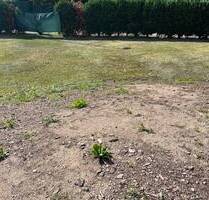 200m von der Dresdner Stadtgrenze entsteht Ihr neues Traumhaus - Freital