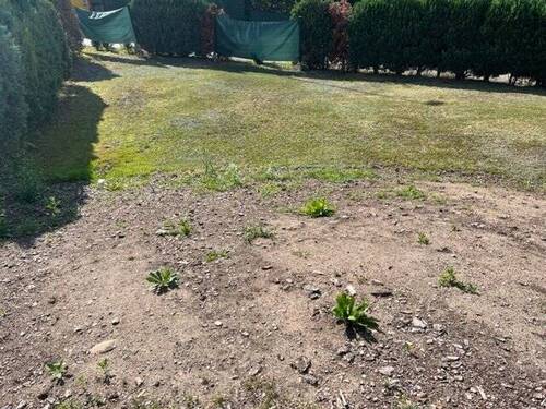 Bild 2 - Grundstück zum Kaufen in Freital