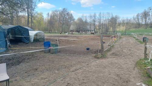 20260415_153207.jpg - 