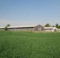 Großzügige Halle mit separatem Büro! Die ideale Lagerfläche in ländlicher Umgebung - Klipphausen Sora