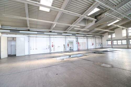 Bild - Halle in Cloppenburg zum Kaufen