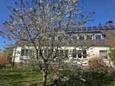 Obstbäume - 