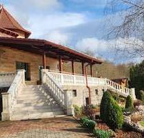 TRAUMHAUS - LUXUSREZIDENZ 17 MINUTEN VON BUDAPEST, OHNE NACHBAR, SCHWIMMBAD, SAUNA, PANORAMA, EIGENES TRINWASSER