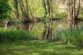 Eigener Naturteich - 