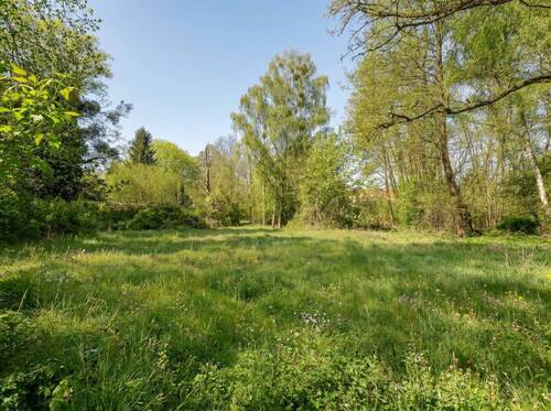 Weitläufiges Baugrundstück, Westausrichtung - Absolute Rarität - Exklusives Baugrundstück am Dorfplatz Stahnsdorf mit einzigartigem Naturbestand