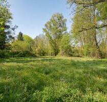 Absolute Rarität - Exklusives Baugrundstück am Dorfplatz Stahnsdorf mit einzigartigem Naturbestand