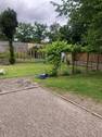 Bild 19 - 