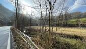 Landwirtschaftsfläche - 4 Zimmer Bauernhaus, Landhaus zum Kaufen in Bahretal