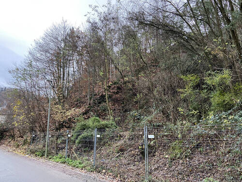 22-DI-570 - Baugrundstück in ruhiger Ortslage von Bad Dürkheim - Hardenburg