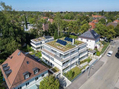 aus der Vogelperspektive - 