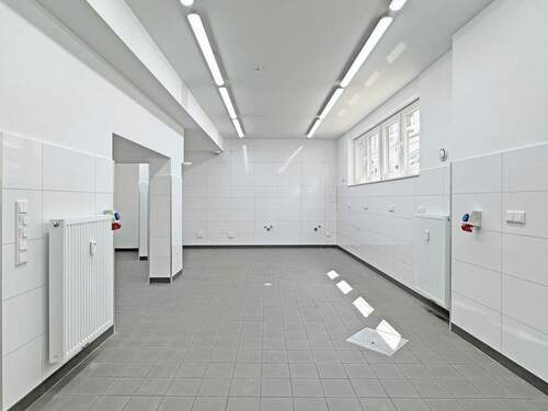 Keller - Büro in Bremen zur Miete