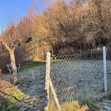 Gartengrundstück - Einfamilienhaus mit 150,00 m&sup2; in Beverungen zum Kaufen