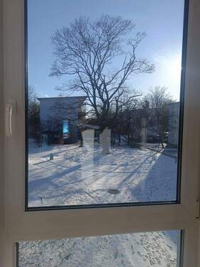 Kastanienbaum im Winter - 