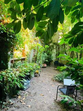 WhatsApp Image 2026-01-16 at 16.30.49 (1).jpeg - 