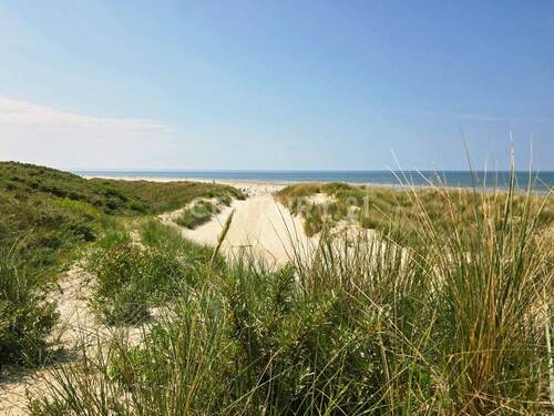Strand - 