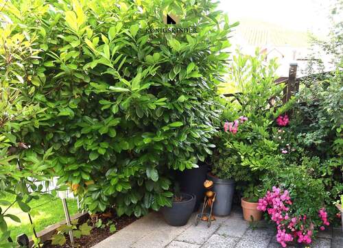 Bild 1 - Einladung: Offene Besichtigung am Sonntag, 16.11. von 13.30 Uhr bis 15.30 Uhr.