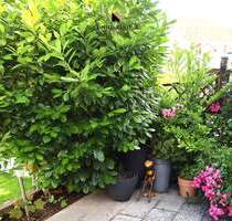 Einladung: Offene Besichtigung am Sonntag, 16.11. von 13.30 Uhr bis 15.30 Uhr. - Weinstadt Schnait