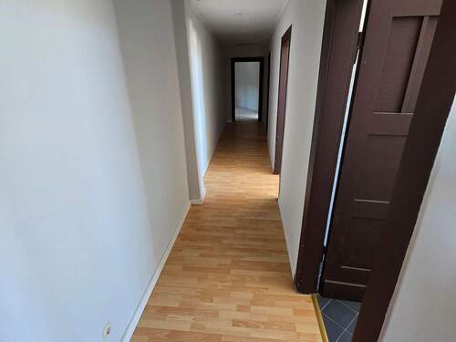 20250403_141444.jpg - 