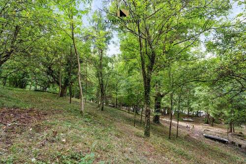 Lockerer Laubmischwald - Wenn die Natur erwacht, wartet Ihre Freiheit: Ihr 1.785 m² Südhang-Paradies für Selbstversorger