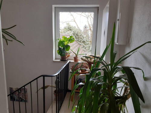 Bild 11 - 
