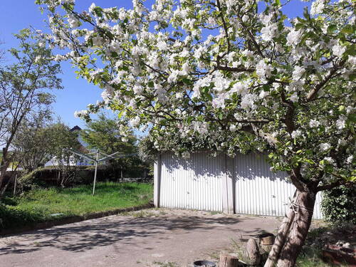 Bild 16 - 