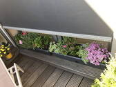 Bild 24 - 