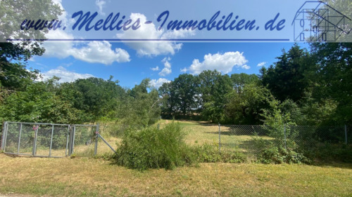 Bild 1 - Großes Grundstück in Suhlendorf OT.