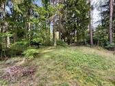 Hier könnte Ihr Zuhause im Grünen entstehen - Grundstück in Buchholz in der Nordheide