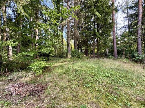 Hier könnte Ihr Zuhause im Grünen entstehen - Grundstück in Buchholz in der Nordheide