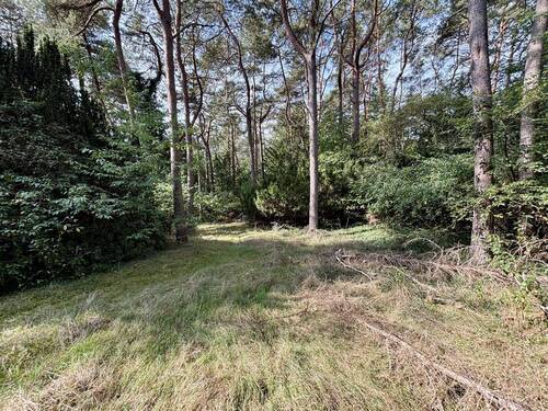 Weiterläufiger Garten - Grundstück zum Kaufen in Seevetal - Ramelsloh