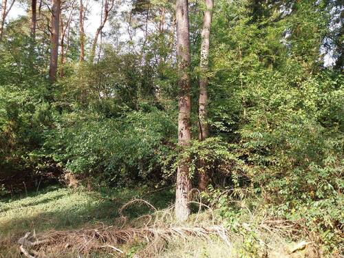 Wohnen in Sackgassenlage - 