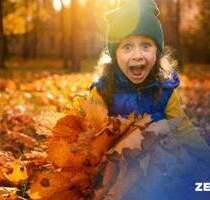 Ihr Traumhaus mit Bien-Zenker: Stilvoll, nachhaltig, individuell geplant! - Hamburg Stellingen