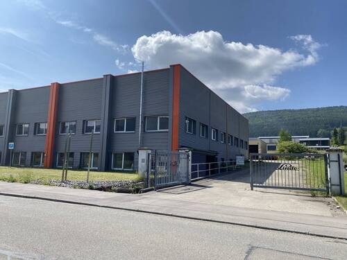 Zufahrt 1 - Halle in Spaichingen zum Kaufen