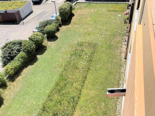 Gemeinschaftsgarten - 