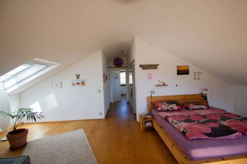 DG Zimmer - 