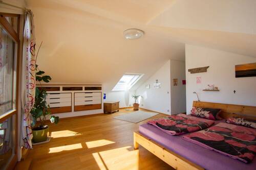 DG Zimmer - 