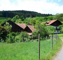 Fast Alleinlage: Idyllisches Anwesen Nähe Wetzelsberg - Wiesenfelden