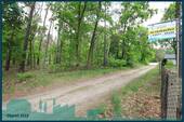 den Wald vor der Tür.jpg - 