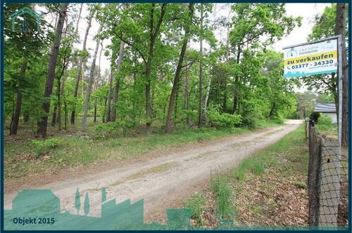 den Wald vor der Tür.jpg - 