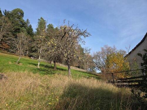 Grundstück - Enzklösterle: Baugrundstück im idyllischen Nordschwarzwald *PROVISIONSFREI*