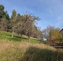Enzklösterle: Baugrundstück im idyllischen Nordschwarzwald *PROVISIONSFREI*