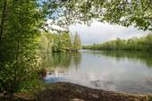 Badestelle am Nymphensee in der Umgebung - 