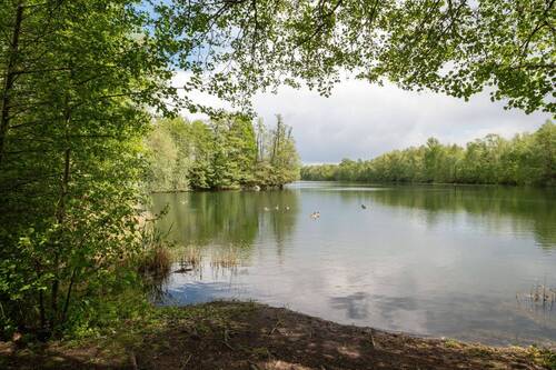 Badestelle am Nymphensee in der Umgebung - 