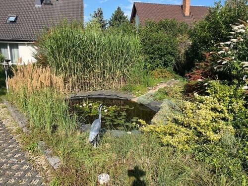 Bild 7 Gartenteich - 