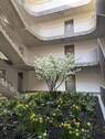 Innenhof - 
