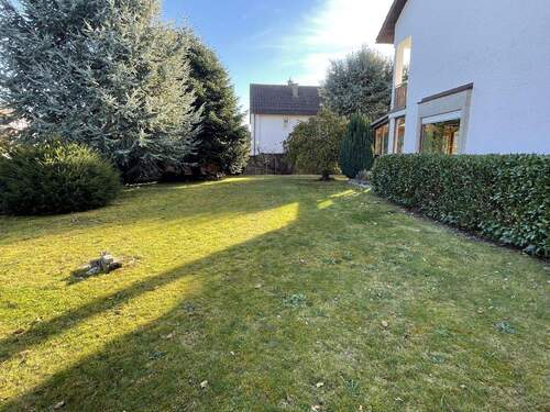 Blick in den Garten - 